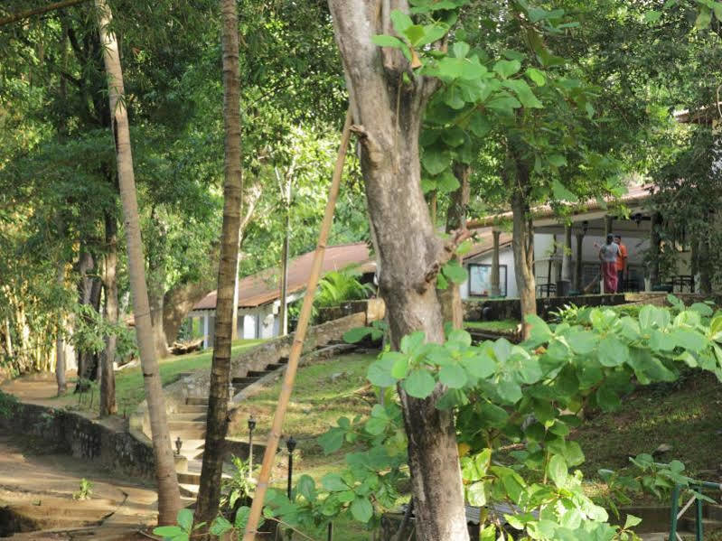ดัมบูลุย โอยา แฟมิลี พาร์ค Hotel ดัมบูลลา ภายนอก รูปภาพ